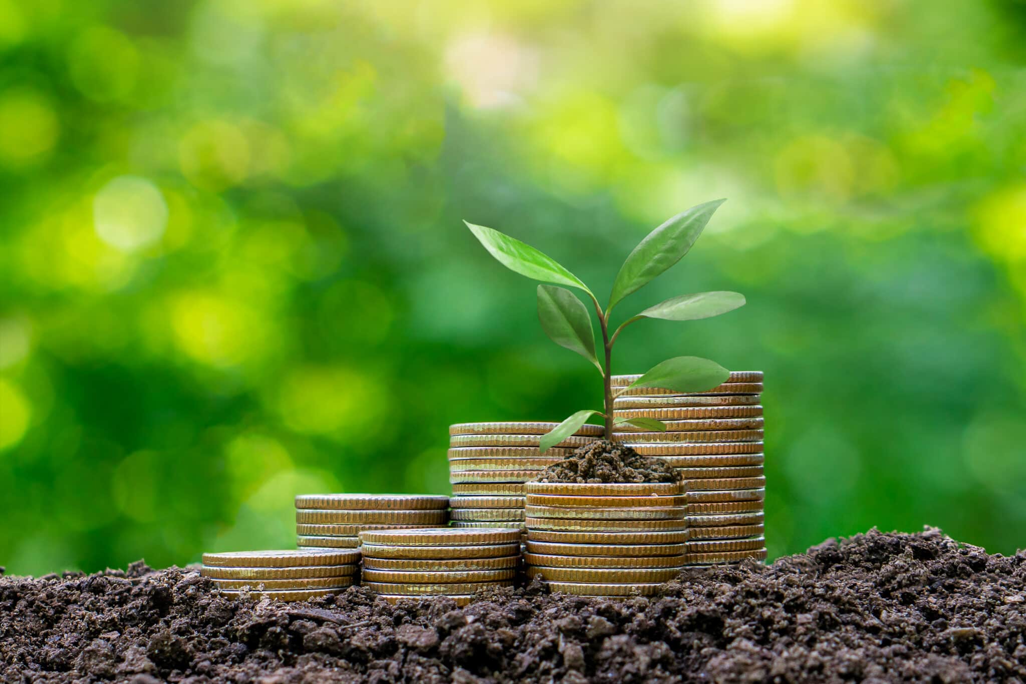 Money-saving,Growing Money,Finance And Investment concept.Plants growing up on stack coins.Business growth,development and success concept.